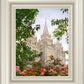 Salt Lake Mid-Summer Garden