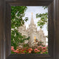 Salt Lake Mid-Summer Garden