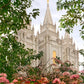 Salt Lake Mid-Summer Garden