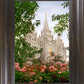 Salt Lake Mid-Summer Garden