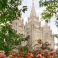 Salt Lake Mid-Summer Garden
