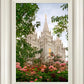Salt Lake Mid-Summer Garden