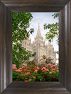 Salt Lake Mid-Summer Garden