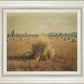 Golden Harvest