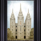 Salt Lake Aged Color