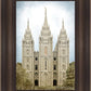 Salt Lake Aged Color