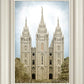 Salt Lake Aged Color
