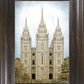 Salt Lake Aged Color