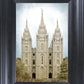 Salt Lake Aged Color
