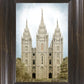 Salt Lake Aged Color