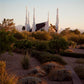Las Vegas Desert Garden