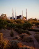 Las Vegas Desert Garden