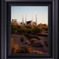 Las Vegas Desert Garden