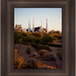 Las Vegas Desert Garden