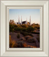 Las Vegas Desert Garden