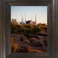 Las Vegas Desert Garden