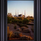 Las Vegas Desert Garden