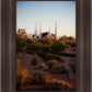 Las Vegas Desert Garden