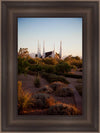 Las Vegas Desert Garden