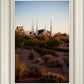 Las Vegas Desert Garden