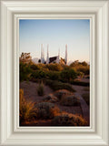 Las Vegas Desert Garden