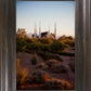 Las Vegas Desert Garden