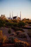 Las Vegas Desert Garden