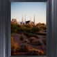 Las Vegas Desert Garden