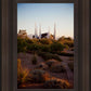 Las Vegas Desert Garden