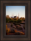 Las Vegas Desert Garden