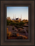 Las Vegas Desert Garden