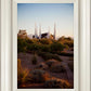 Las Vegas Desert Garden