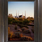 Las Vegas Desert Garden