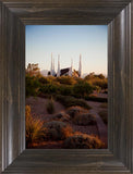 Las Vegas Desert Garden