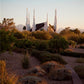 Las Vegas Desert Garden