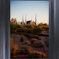 Las Vegas Desert Garden