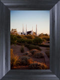 Las Vegas Desert Garden