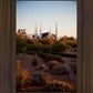Las Vegas Desert Garden