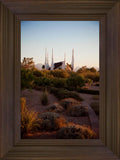 Las Vegas Desert Garden