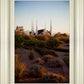 Las Vegas Desert Garden