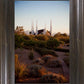 Las Vegas Desert Garden