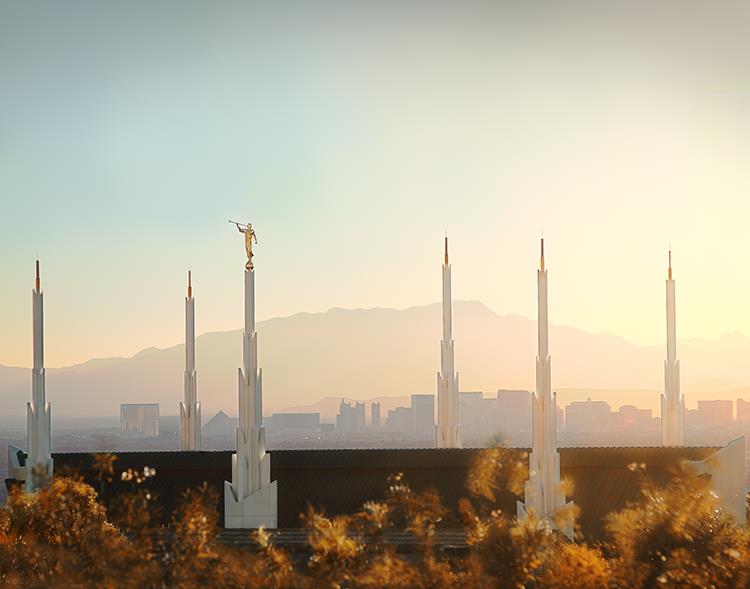 Las Vegas Inspiration