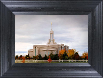 Mount Timpanogos Autumn Trees