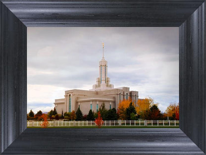 Mount Timpanogos Autumn Trees