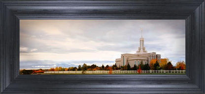 Mount Timpanogos Autumn Trees