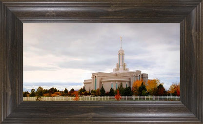 Mount Timpanogos Autumn Trees