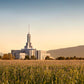 Mount Timpanogos Harvest