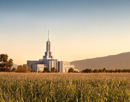 Mount Timpanogos Harvest