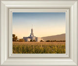 Mount Timpanogos Harvest