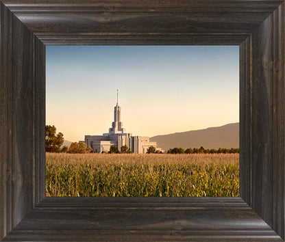 Mount Timpanogos Harvest